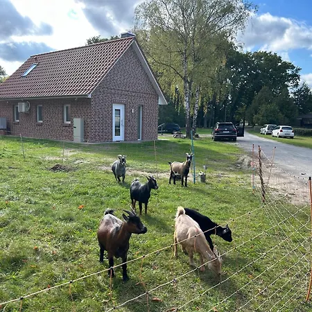 Im Rundling Дом отдыха Clenze